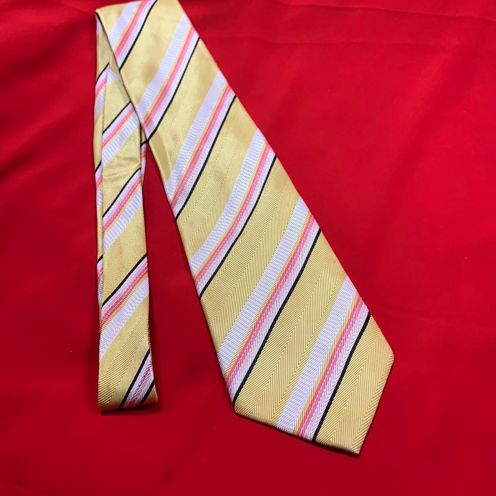 Rafael silk tie!